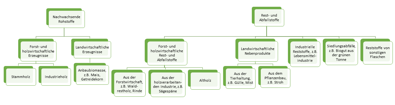 Biomasse besteht aus nachwachsenden Rohstoffen und Rest- und Abfallstoffen